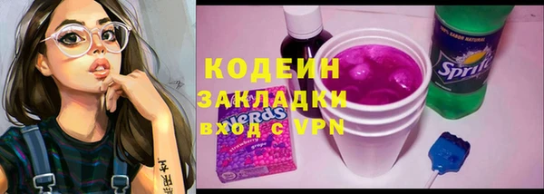 шишки Белоозёрский