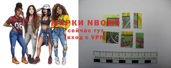 шишки Белоозёрский