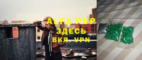 спиды Сясьстрой