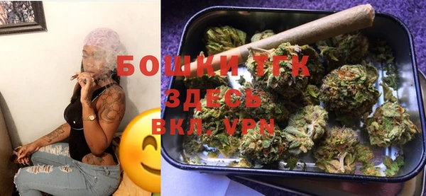 шишки Белоозёрский