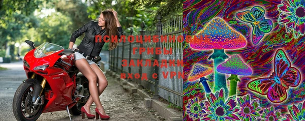 шишки Белоозёрский
